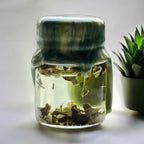 Money Oil Spell to Attract Money