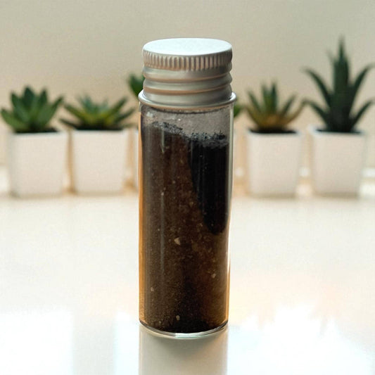 Black Salt Protection Powder • Hoodoo, Witchcraft, Spiritual Cleansing, Banishing, Warding, Negative Energy Removal