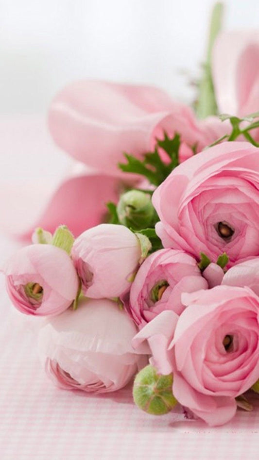 Spirit Guide Connection Reading | Receive Divine Guidance, Clarity & Messages from Your Guides