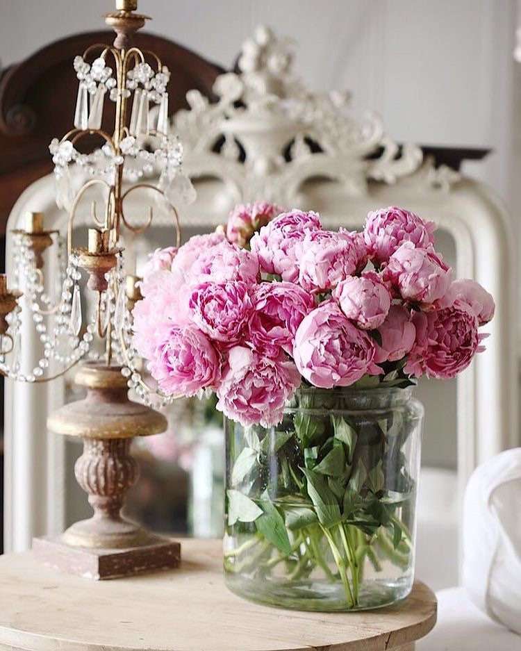 Advice on your relationship- Life Coaching