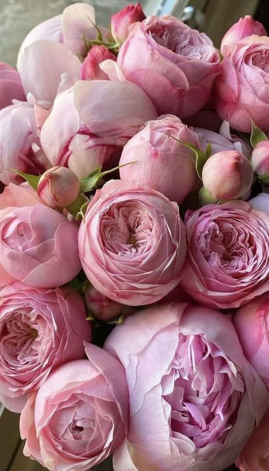 In Depth Love Reading Psychic Insight Twin Flame & Soulmate